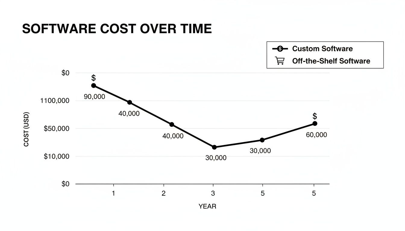 Line graph illustrates custom software cost trends over several years, showing fluctuations from $90,000 to $60,000.
