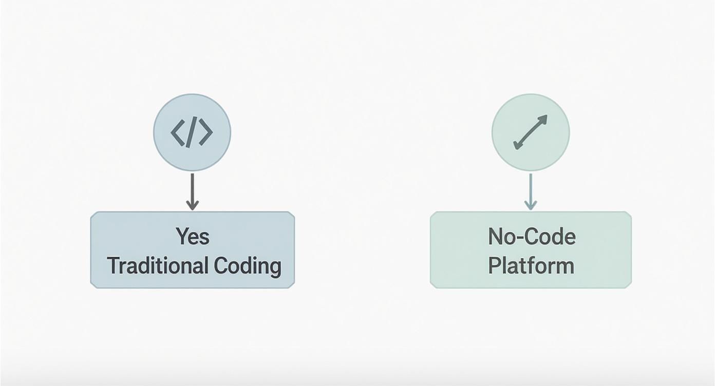 Infographic about build app without coding
