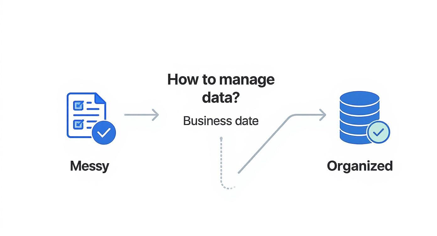 Decision-tree infographic showing how to choose a database for a small business